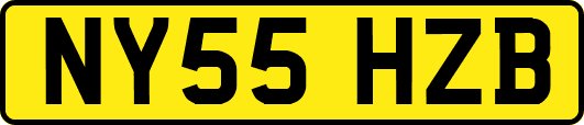 NY55HZB