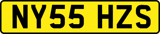 NY55HZS