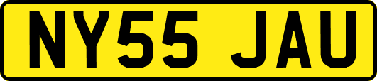 NY55JAU