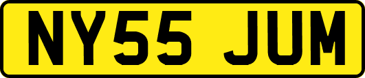 NY55JUM