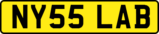 NY55LAB