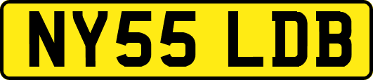 NY55LDB
