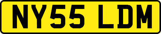 NY55LDM