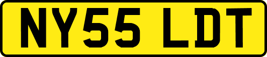 NY55LDT