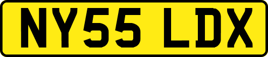 NY55LDX