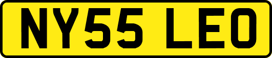 NY55LEO