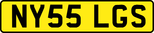 NY55LGS