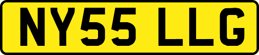 NY55LLG