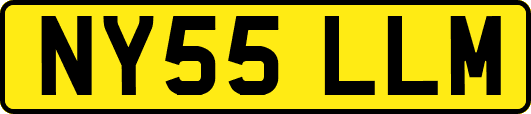 NY55LLM