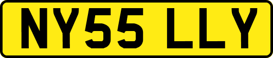 NY55LLY