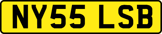 NY55LSB