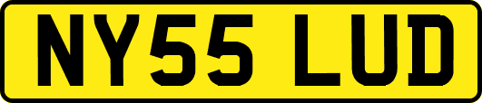 NY55LUD