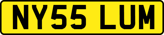 NY55LUM