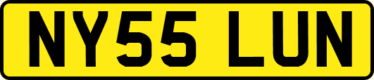 NY55LUN
