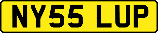 NY55LUP