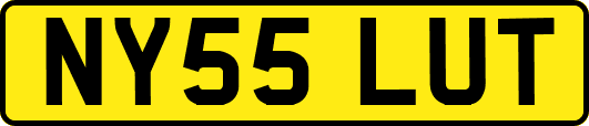 NY55LUT