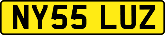 NY55LUZ