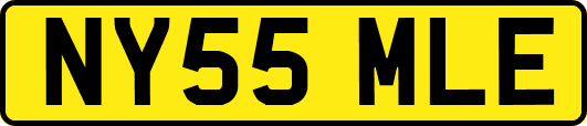 NY55MLE
