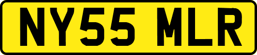 NY55MLR