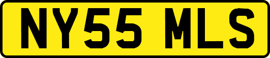 NY55MLS