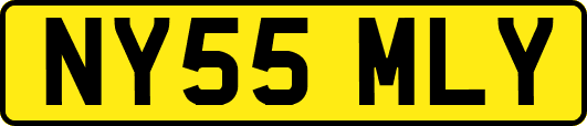NY55MLY