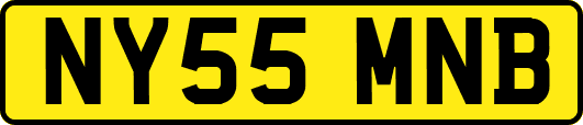 NY55MNB
