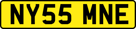 NY55MNE