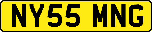 NY55MNG