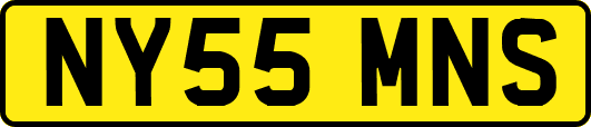 NY55MNS