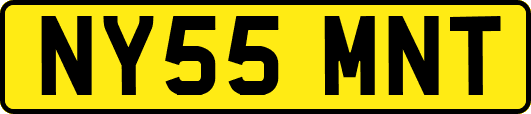 NY55MNT