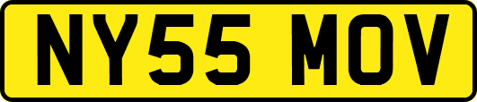 NY55MOV