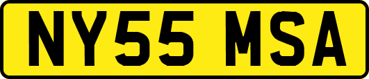NY55MSA