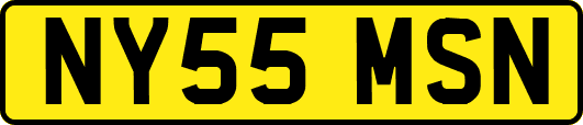 NY55MSN