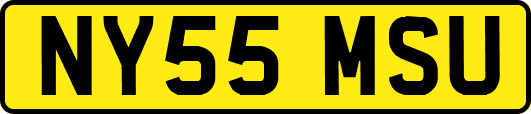 NY55MSU