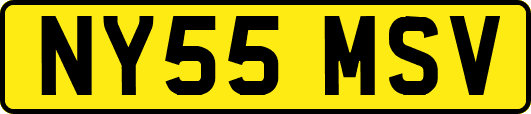 NY55MSV