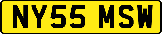 NY55MSW