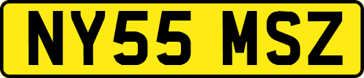 NY55MSZ