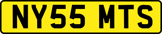 NY55MTS
