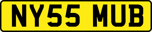 NY55MUB