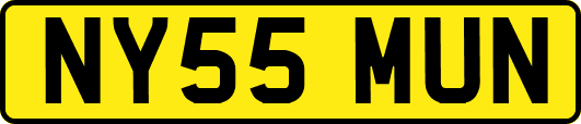 NY55MUN
