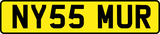 NY55MUR