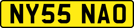 NY55NAO