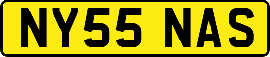 NY55NAS