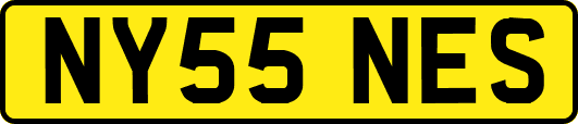 NY55NES