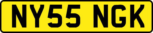 NY55NGK