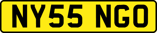 NY55NGO