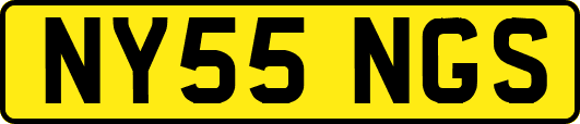 NY55NGS
