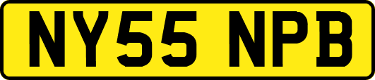 NY55NPB