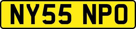 NY55NPO