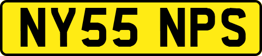 NY55NPS